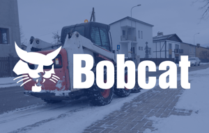 Bobcat story
