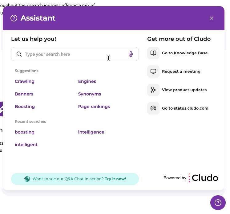 Cludo-Assistant