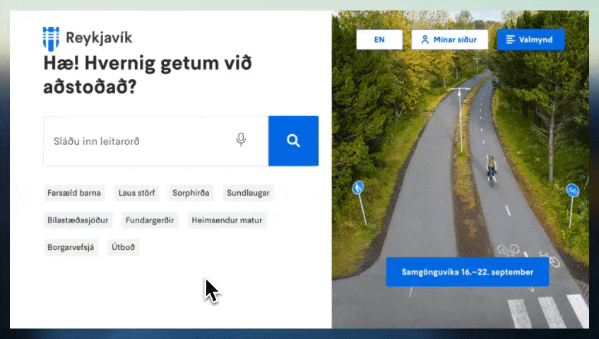 reykjavik-cludo-ai-summary