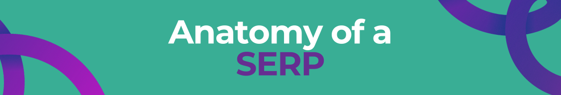 serp anatomy