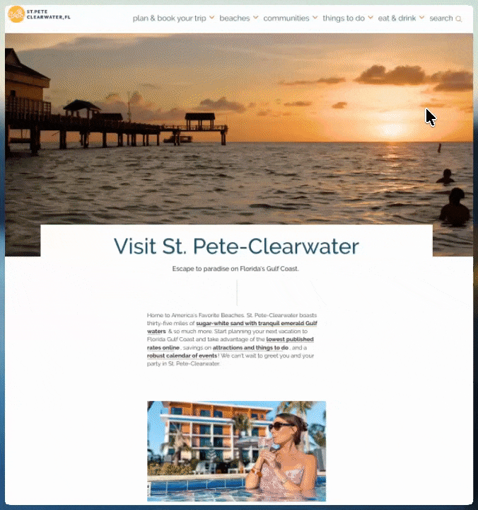 st-pre-search-suggestions