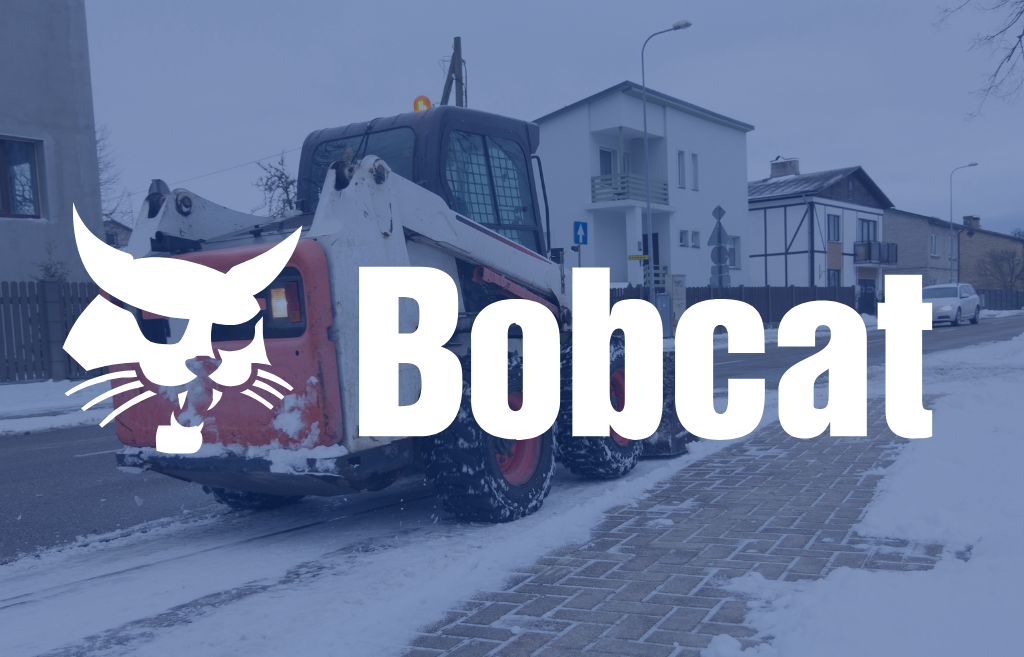 Bobcat story