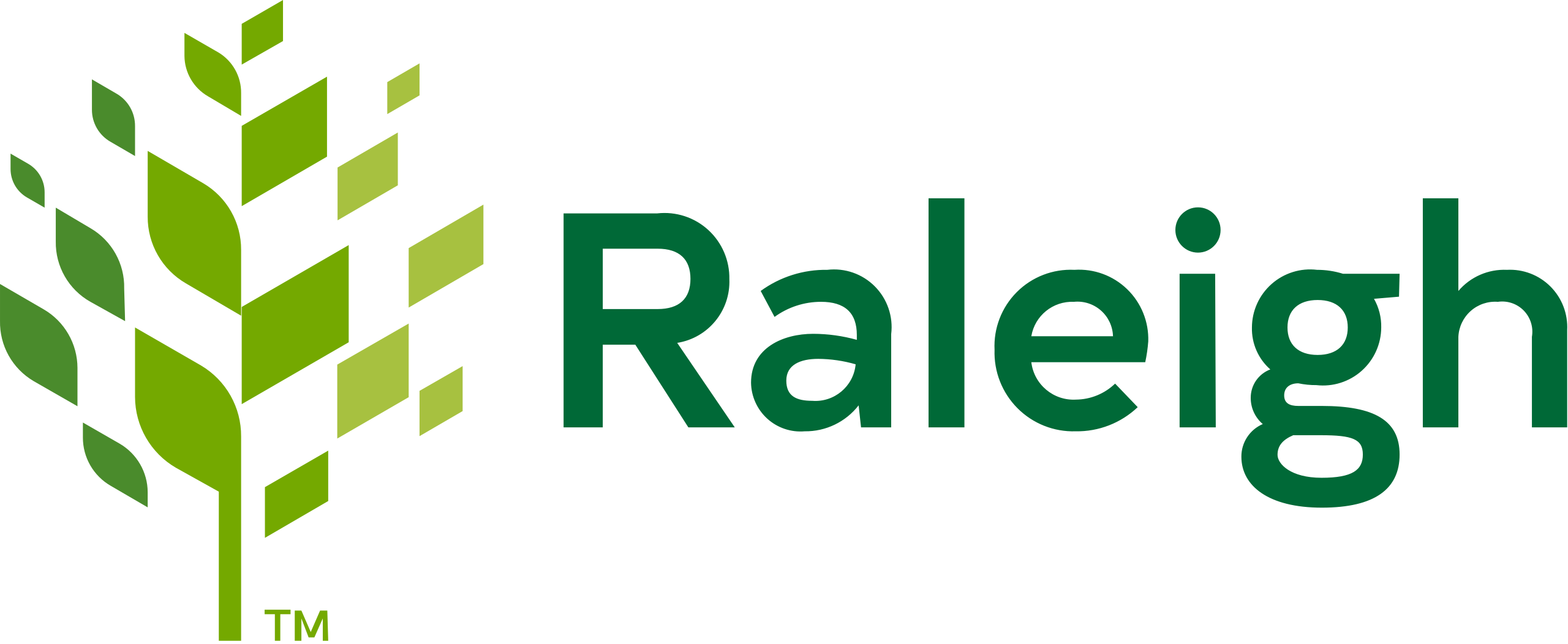 1280px-City_of_Raleigh_logo.svg-1024x421